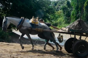 Proyecto de ley radicado: Vehículos de tracción animal 2