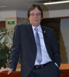 Título de la galería 1